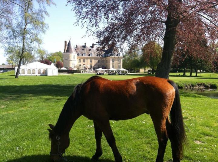 Chateau De Berticheres 쇼몽 앙 벡상 외부 사진